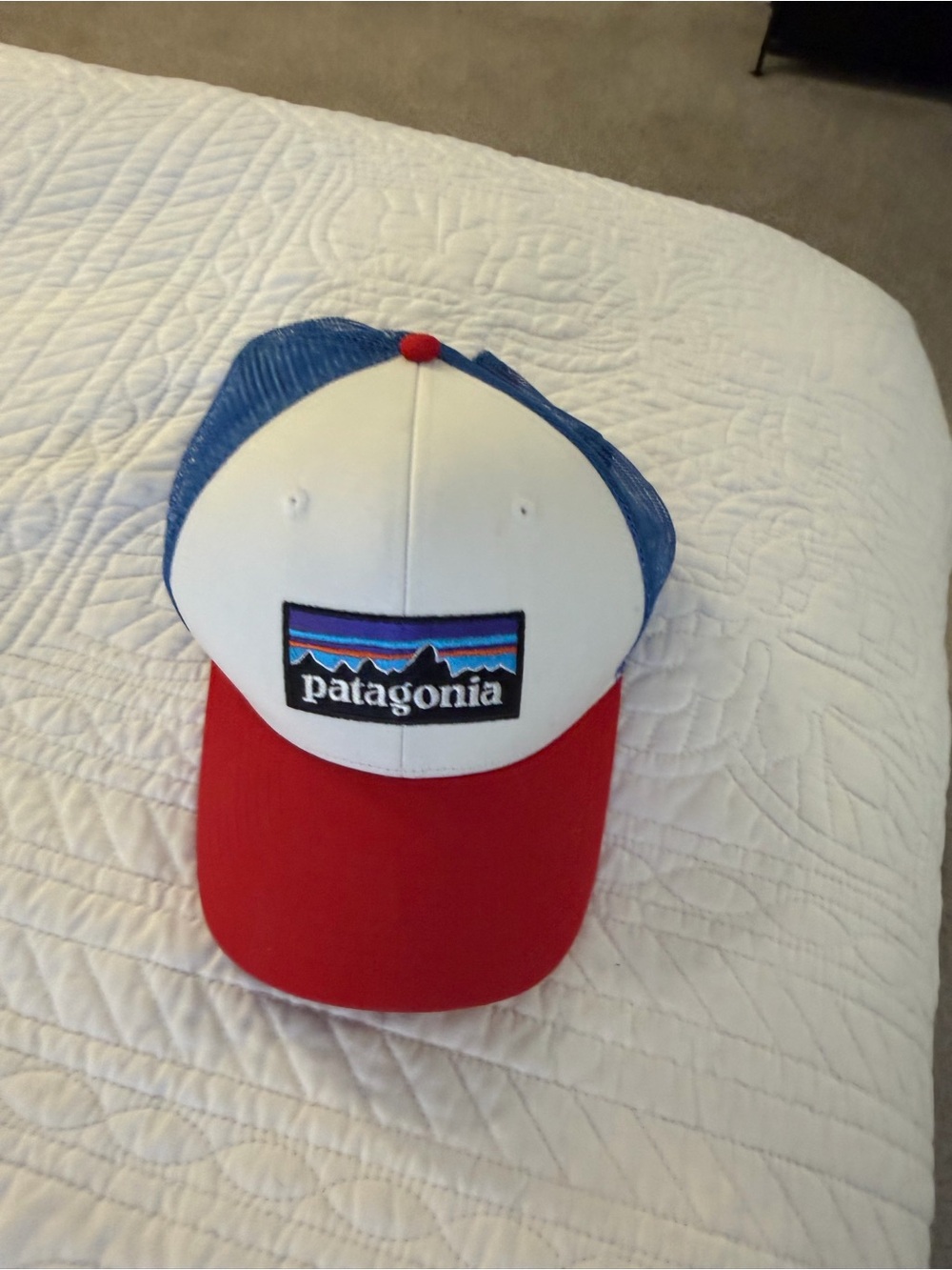 Patagonia Trucker Hat